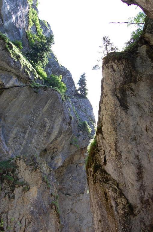 Complexul Turistic Cheile Butii Otel Cîmpu lui Neag Dış mekan fotoğraf