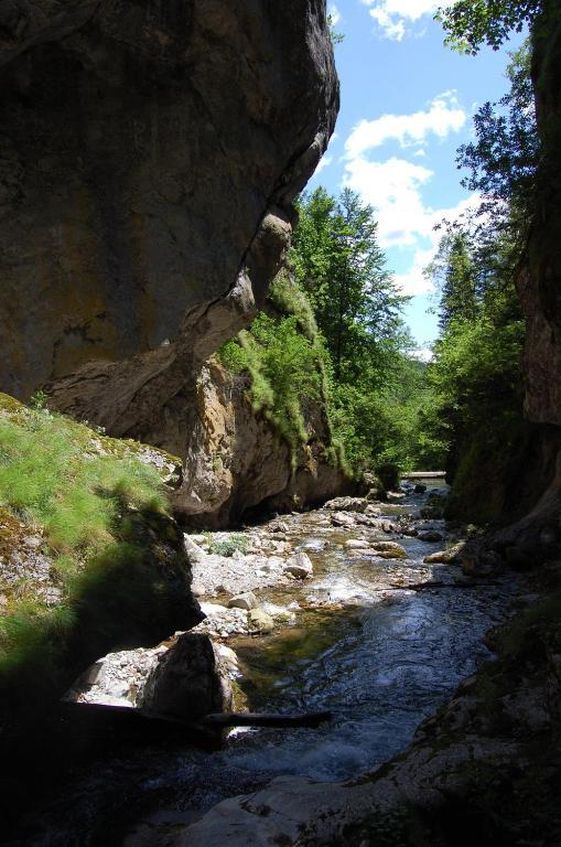 Complexul Turistic Cheile Butii Otel Cîmpu lui Neag Dış mekan fotoğraf
