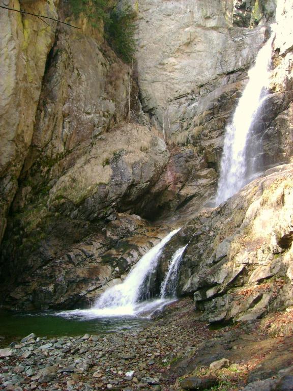 Complexul Turistic Cheile Butii Otel Cîmpu lui Neag Dış mekan fotoğraf